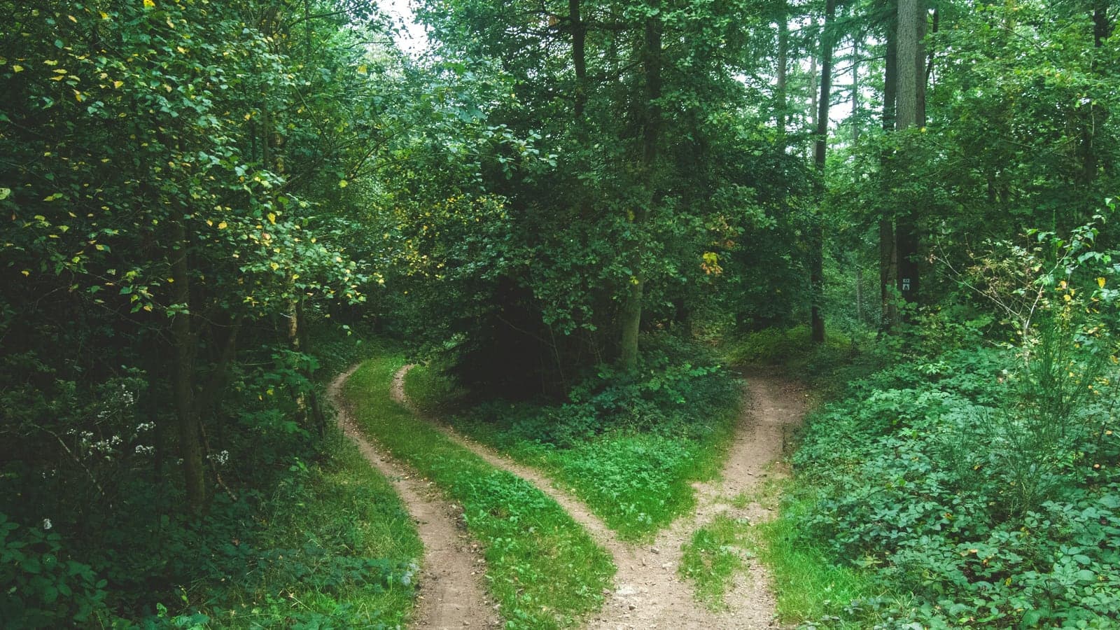 Multi-Agent Orchestration vs. Model Routing: Why Better AI Systems Beat Bigger Models